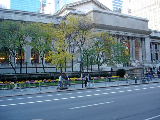 New York Library